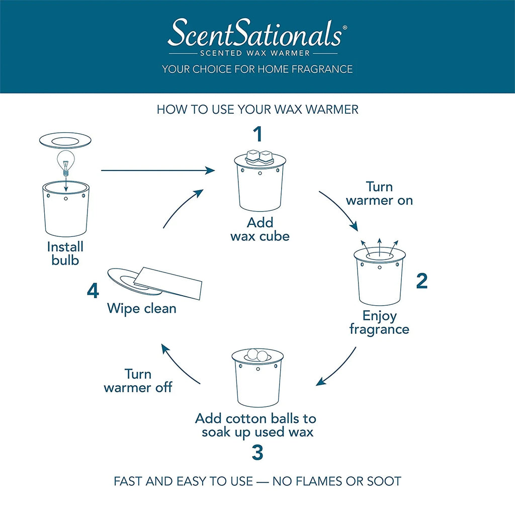 2.5 oz Scented Wax Melts R56221